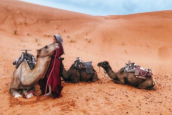 Fes to Marrakech 4 days desert tours - Who Will This Tour Suit Best?