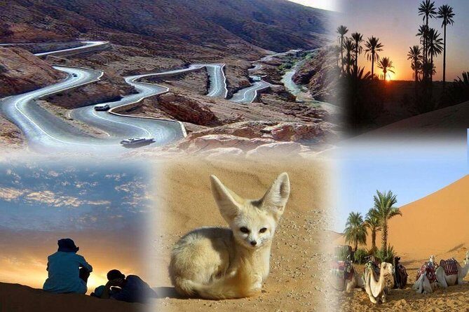 fes to marrakech desert tour 3 days - Key Points