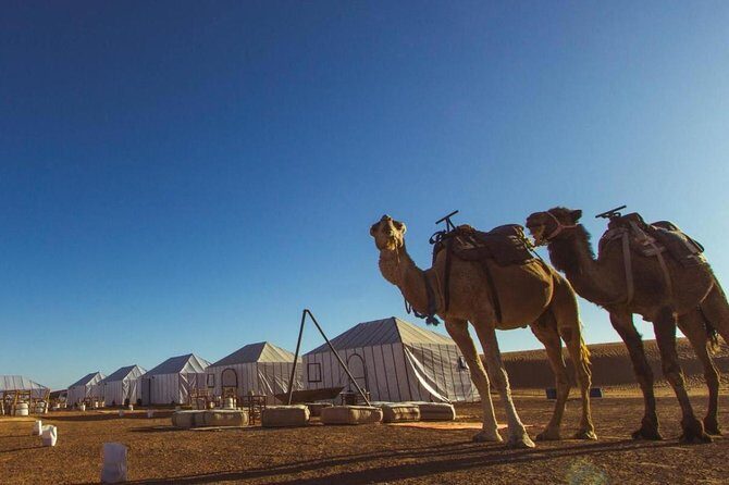 Fes to Marrakech desert tours 3 days - The Sum Up: The Bottom Line