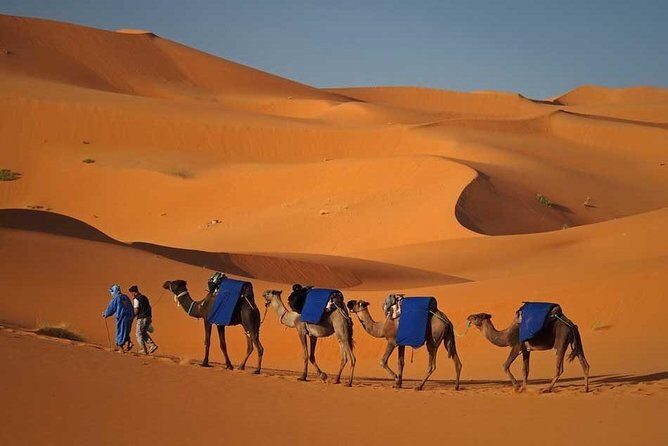 Fes to Marrakech via Desert Tour 2 Days 1 Night - Arrival in Marrakech