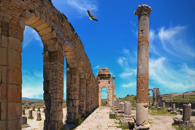 fes to Meknes and Volubilis day trip - What Reviewers Love Most