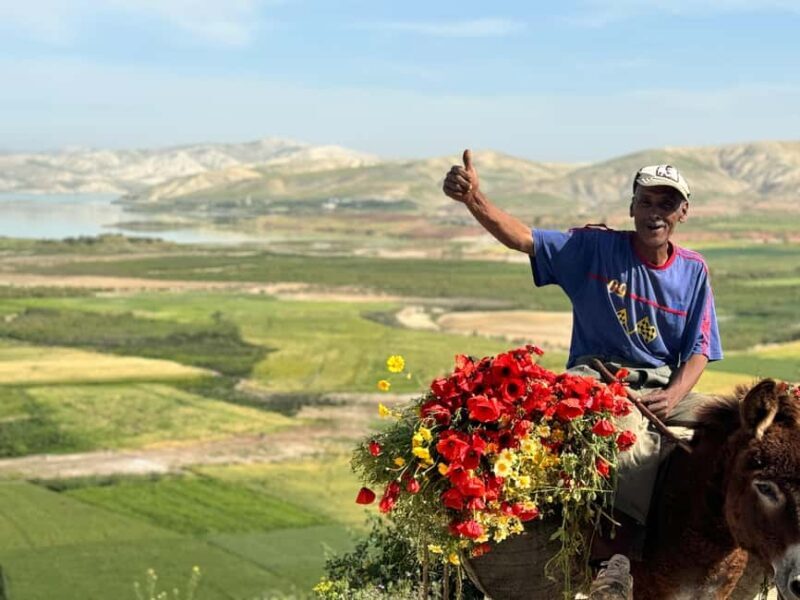 Fes to Middle Atlas Private Day Trip - Authenticity and Value: What Travelers Say