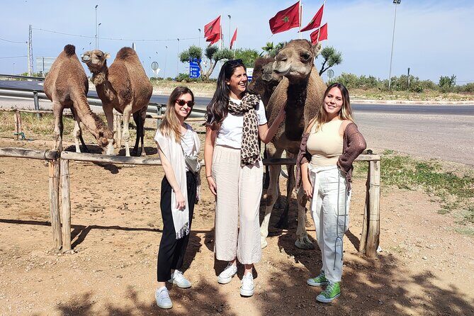 Fes to Sefrou and Bhalil day trip - FAQ