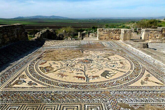 Fes to Volubilis, Moulay Idriss and Meknes private day trip - Exploring the Itinerary in Detail