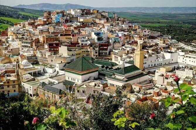 Fès to Volubilis, Moulay Idriss and Meknès Private Day Trip - Key Points