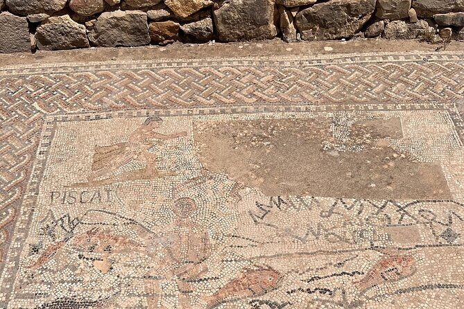 Fès to Volubilis, Moulay Idriss and Meknès Private Day Trip - The Sum Up