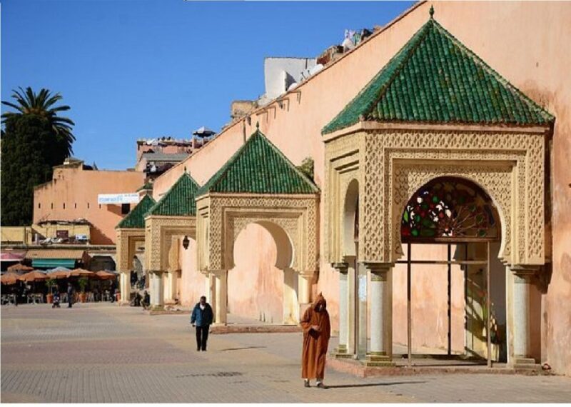 Fes: Volubilis Roman Ruins, Mouly Idriss, & Meknes Day Trip - The Bottom Line: Who Is This Tour For?