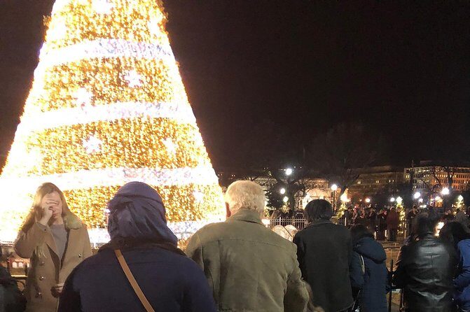 Festival Of Lights Night Tour - What to Expect from the Festival Of Lights Night Tour