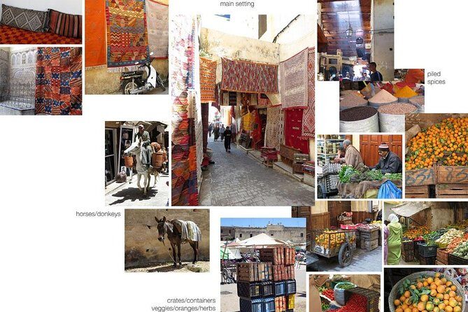 Fez Medina Guided Tour - Discovering Fez Medina with a Private Guide