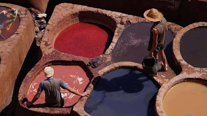 Fez Medina Guided Tour - Visiting Iconic Sites and Hidden Gems