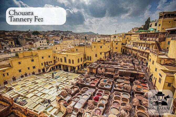 Fez Medina Walking Tour with Private Guide - The Sum Up