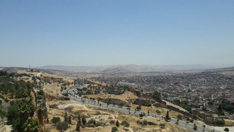 Fez Ramparts Tour: Kings Palace, Jewish Quarters, Tanneries - A Closer Look at the Fez Ramparts Tour