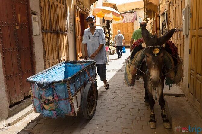 Fez to Chefchaouen Day Trip - Final Thoughts: Is It Worth It?