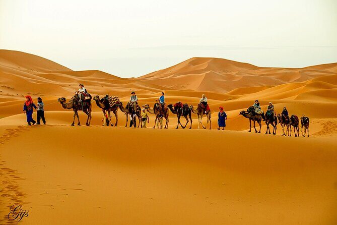 Fez to Marrakech via Merzouga Desert - 3 Day Desert Tour - Introduction: Is This the Morocco Adventure You Need?