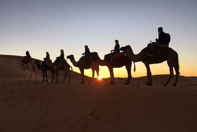 Fez to Marrakech via Merzouga Desert - 3 Day Desert Tour - Key Points