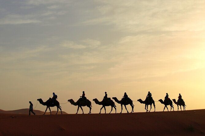 Fez to Marrakech via Merzouga Desert - 3 Day Desert Tour - Final Words