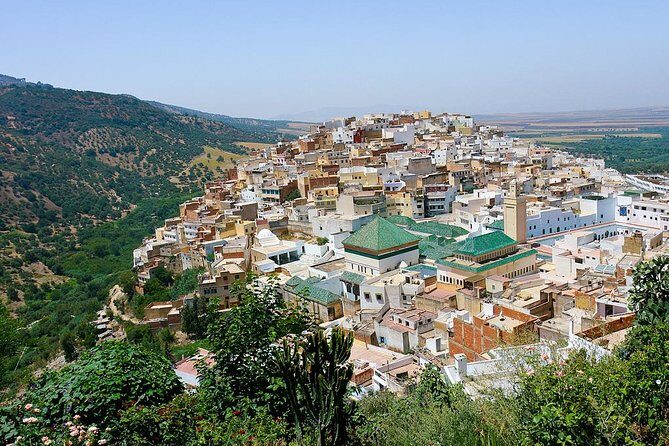 Fez to Meknes,Moulay Idriss & Volubilis Day Trip - The Sum Up