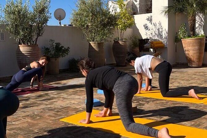 Fez Yoga class at Palais bab sahra - The Experience in Detail