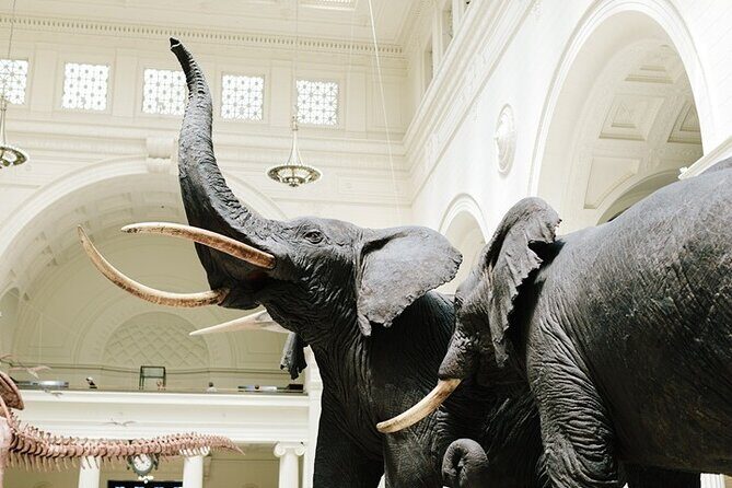 Field Museum Basic Admission Ticket with Tasting Experience - Navigating the Itinerary