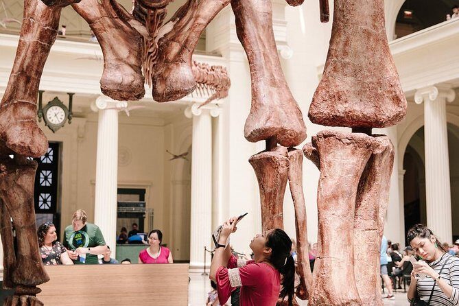 Field Museum of Natural History Admission Tickets - What We Like About Visiting the Field Museum