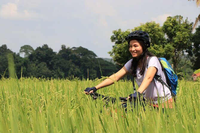 FIELDS OF GOLD Mountain Biking Tour Chiang Mai - Setting the Scene: What the Tour Looks Like