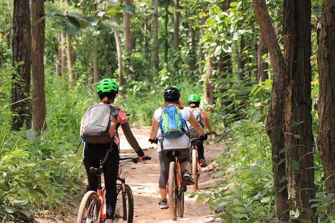 FIELDS OF GOLD Mountain Biking Tour Chiang Mai - Practical Details and Tips