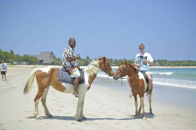 Fiji: Beach Horseback Riding Tour with Lunch and Transfer - Authenticity and the Guide Experience