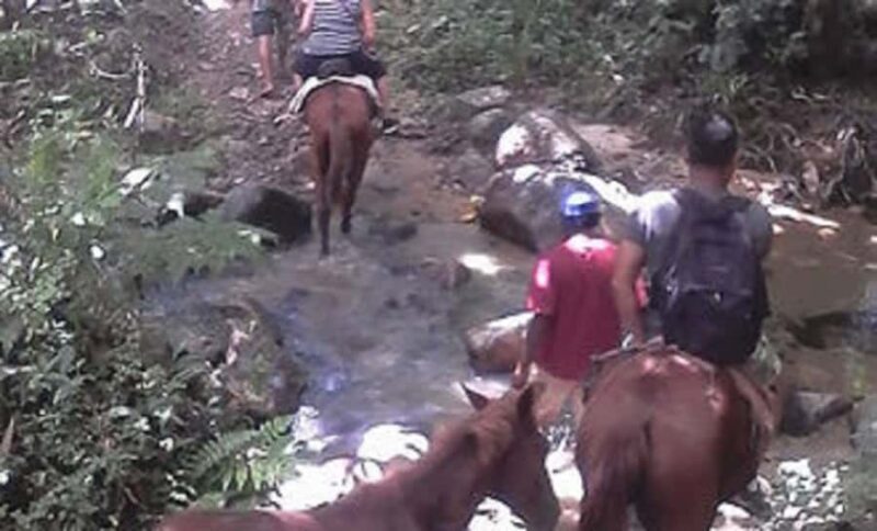Fiji: Biasevu Village and Waterfall experience with Lunch - Key Points