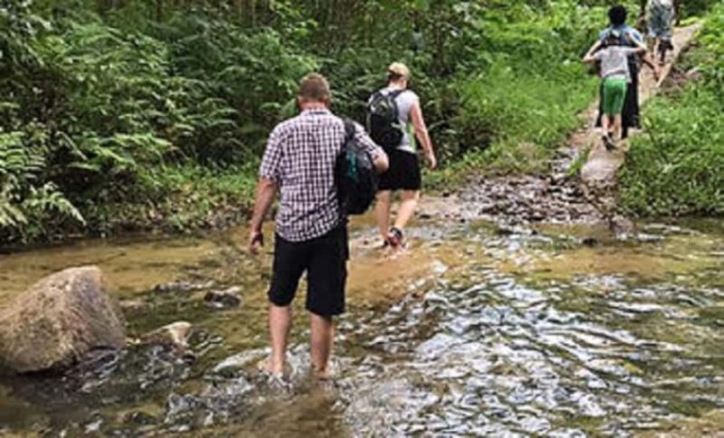 Fiji: Biasevu Village and Waterfall experience with Lunch - The Sum Up