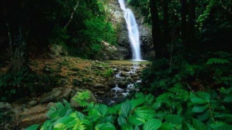 Fiji Biausevu waterfall & Village Tour - FAQs
