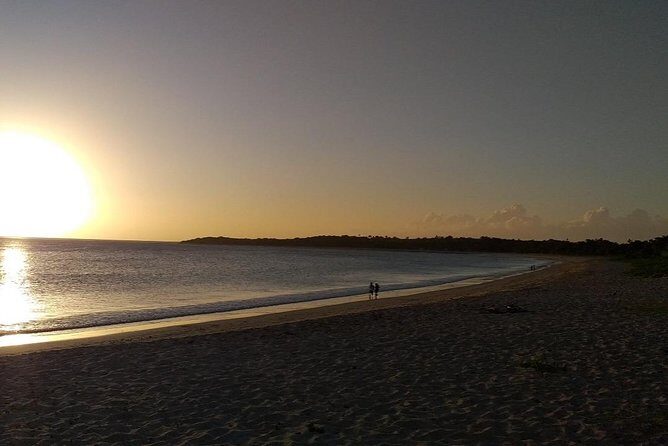 Fiji Coral Coast Venture - Who Will Love This Tour?