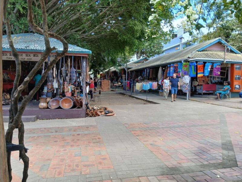 Fiji: Discover Nadi with Sabeto Hotspring and Mudpool Tour - An In-Depth Look at the Itinerary