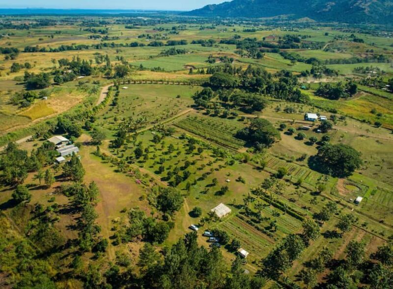 Fiji: Farm Tour: Animals, Honey Tasting & Fijian Cooking - An In-Depth Look at the Fiji Farm Tour