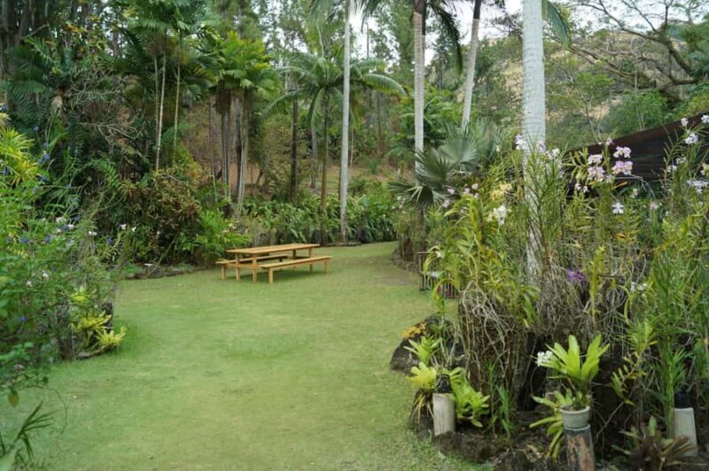 Fiji: Garden of the Sleeping Giant & Viseisei Village Tour - Who Will Enjoy This Tour?