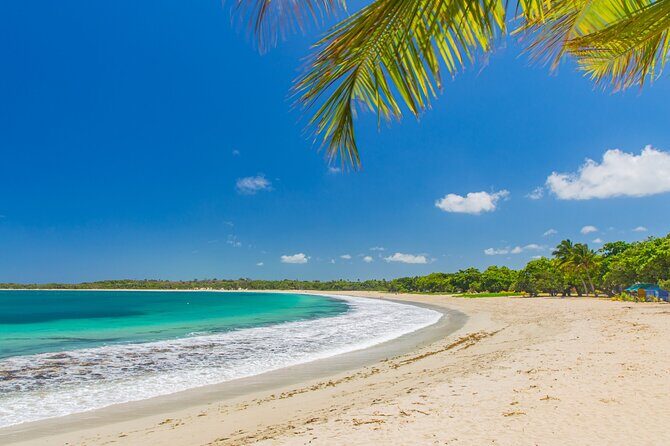 Fiji In Focus 4 Days Mainland Discovery Tour - What the Tour Offers: A Detailed Breakdown