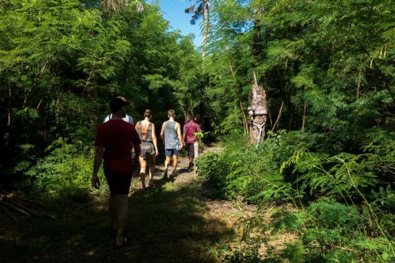 Fiji Island Cultural Experience with Lunch - Final Thoughts: Who Will Love This Tour?