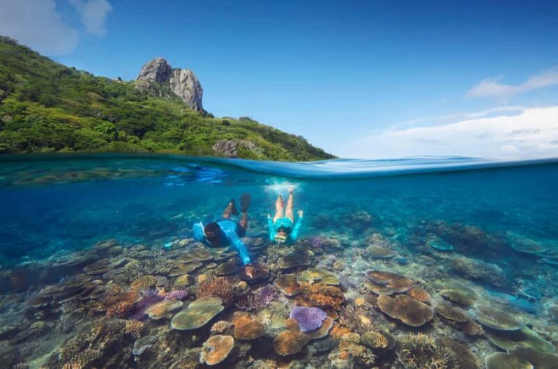 Fiji: Kuata Island Marine Conservation Experience Full Day - Key Points