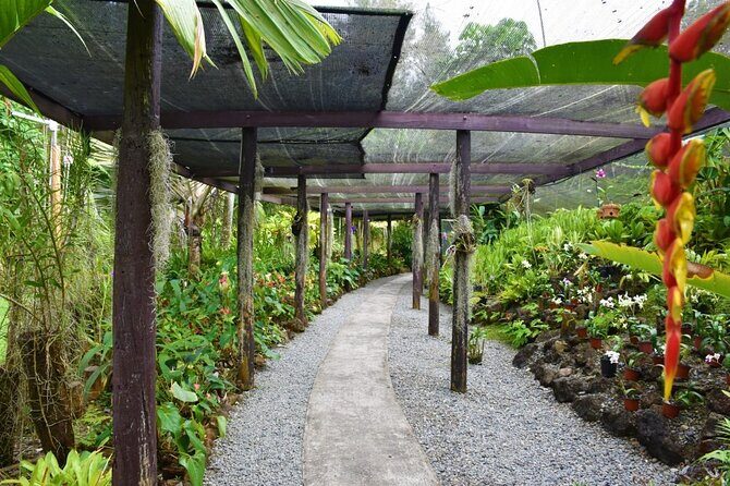 Fiji Lautoka Shore Excursions Tour - Practical Details and What to Expect