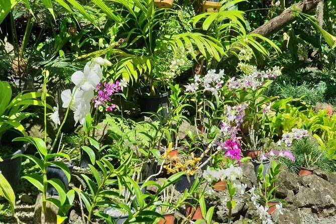 Fiji Lautoka Shore Excursions Tour - Additional Notes and Considerations