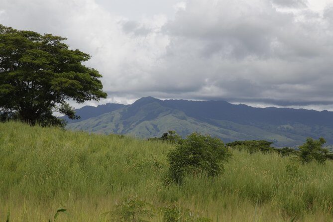 Fiji Local Village, Market, Temple & Garden of Sleeping Giant with Mud Pool Tour - Exploring Fiji’s Heart: A Deep Dive into the Village, Market, Temple & Garden of Sleeping Giant with Mud Pool Tour