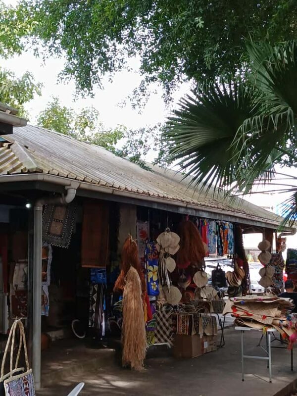 Fiji: Nadi Tour with Tifajek Mudpool and Hotspring Visit - The Sum Up: Is It Worth It?