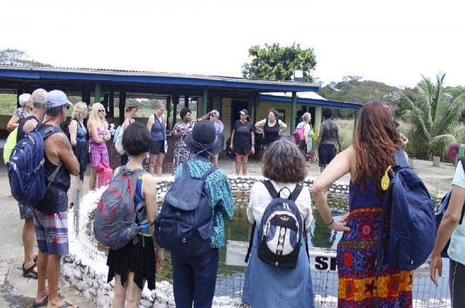 FIJI Official Sabeto Hotspring and Mudpool Entry Fee Tickets Only - Authenticity and Local Culture