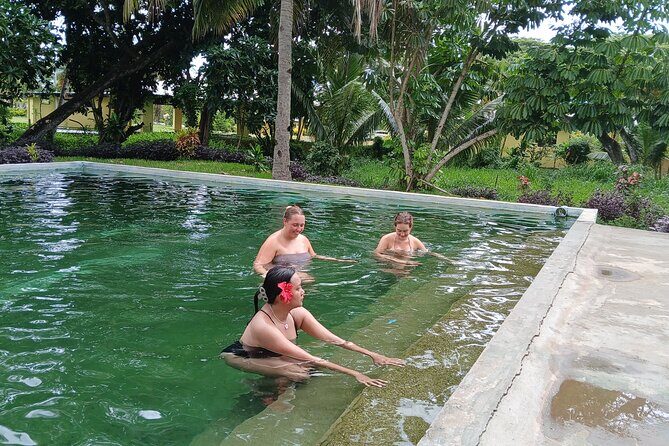 FIJI Official Tifajek MudPool & Hotspring Entry Fee Tickets Only - The Practical Side: Pricing, Duration, and Accessibility