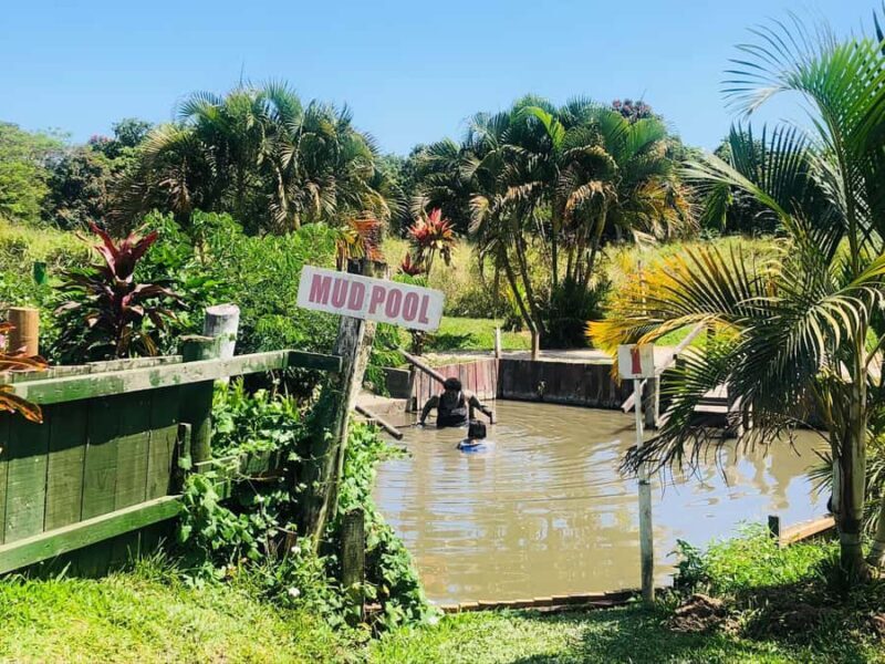 FIJI: Sabeto Hotspring & Mudpool Tours, Tickets & Transfers - The Itinerary in Detail