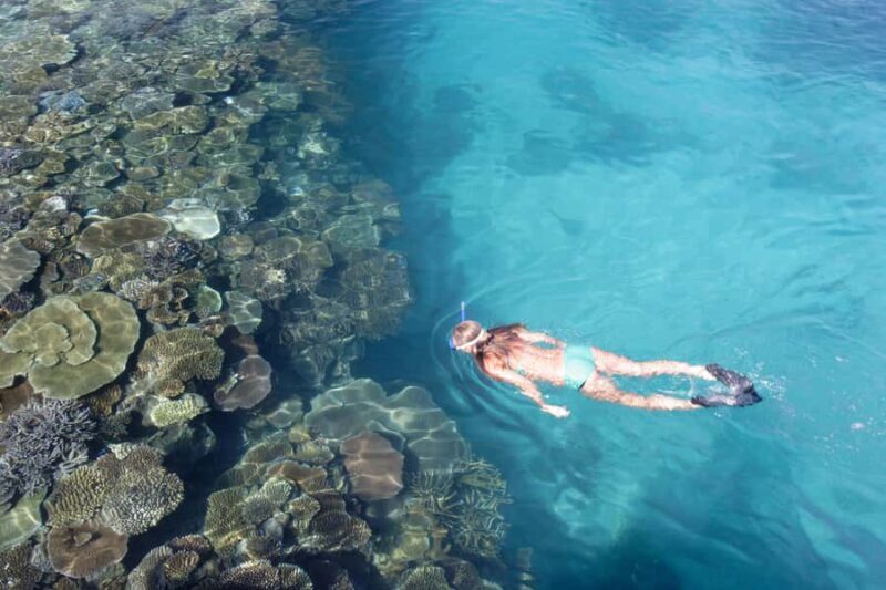 Fiji: South Sea Island Combo Half Day Trip Lunch & Drinks - What the Reviews Say