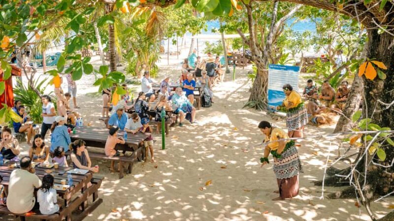 Fiji: South Sea Island Half-Day Trip with Lunch - Who Is This Tour Best For?