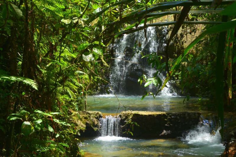 Fiji: Suva Village Tour - Final Thoughts