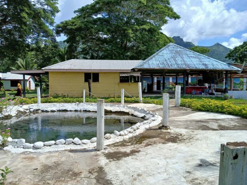 Fiji: Tifajek Mud Pool & Hotspring Tours & Tickets - Who Will Love This Tour?