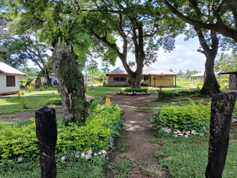 Fiji: Tifajek Mud Pool & Hotspring Tours & Tickets - The Sum Up: Is It Worth It?