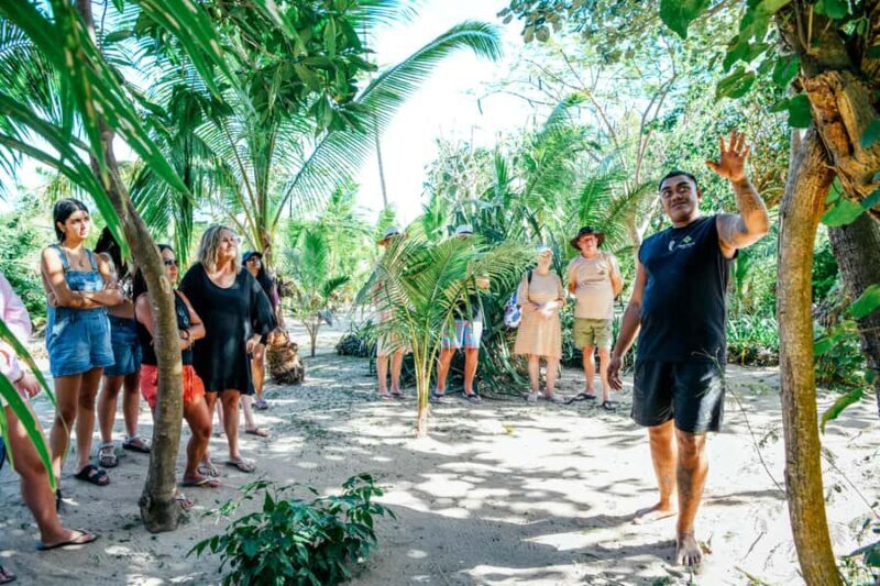 Fiji: Village & Mud-Crab Catching Tour - Who Would Enjoy This Tour?